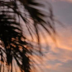 麻豆成人免费网/址
